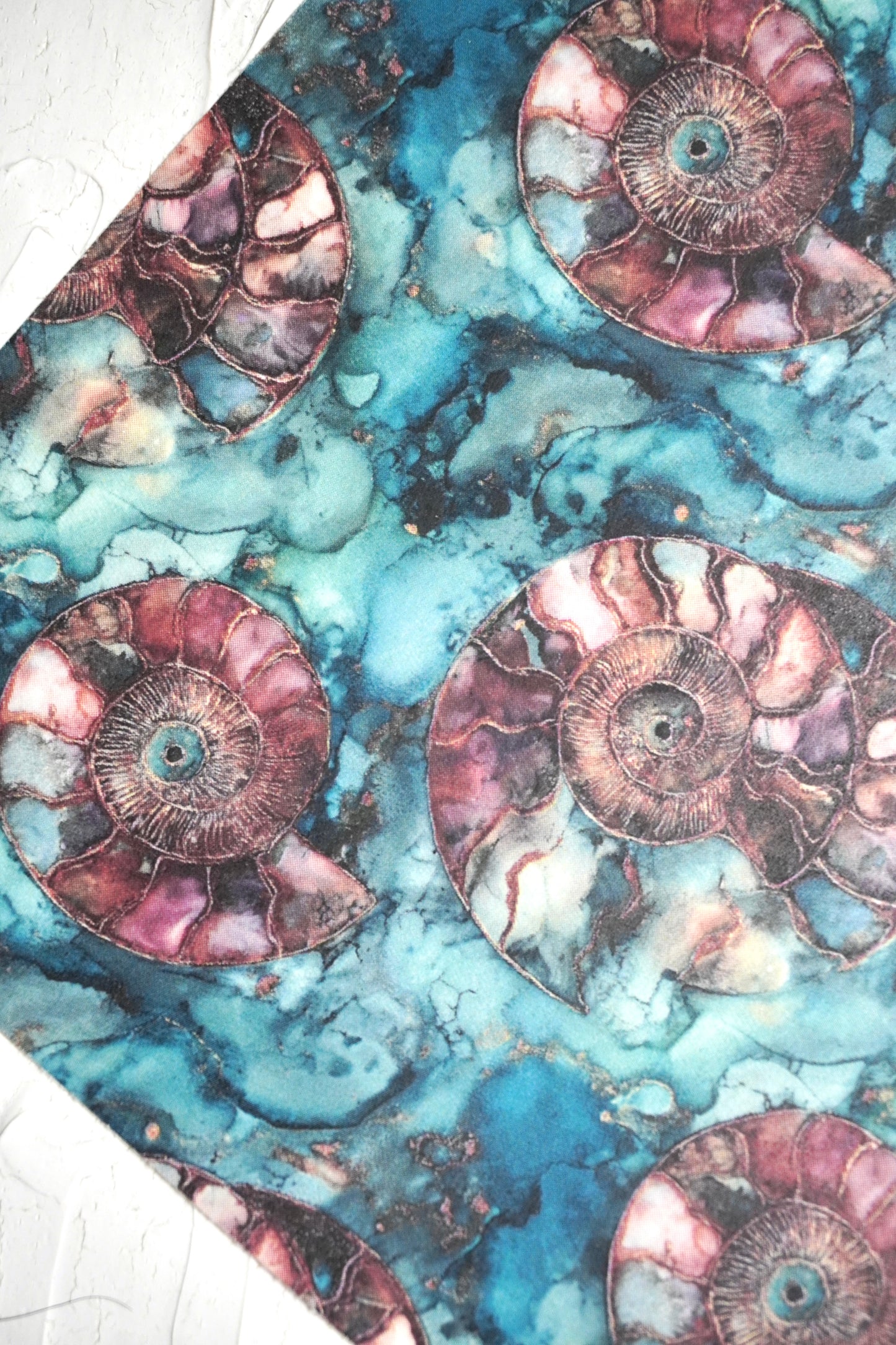 Ammonites 4