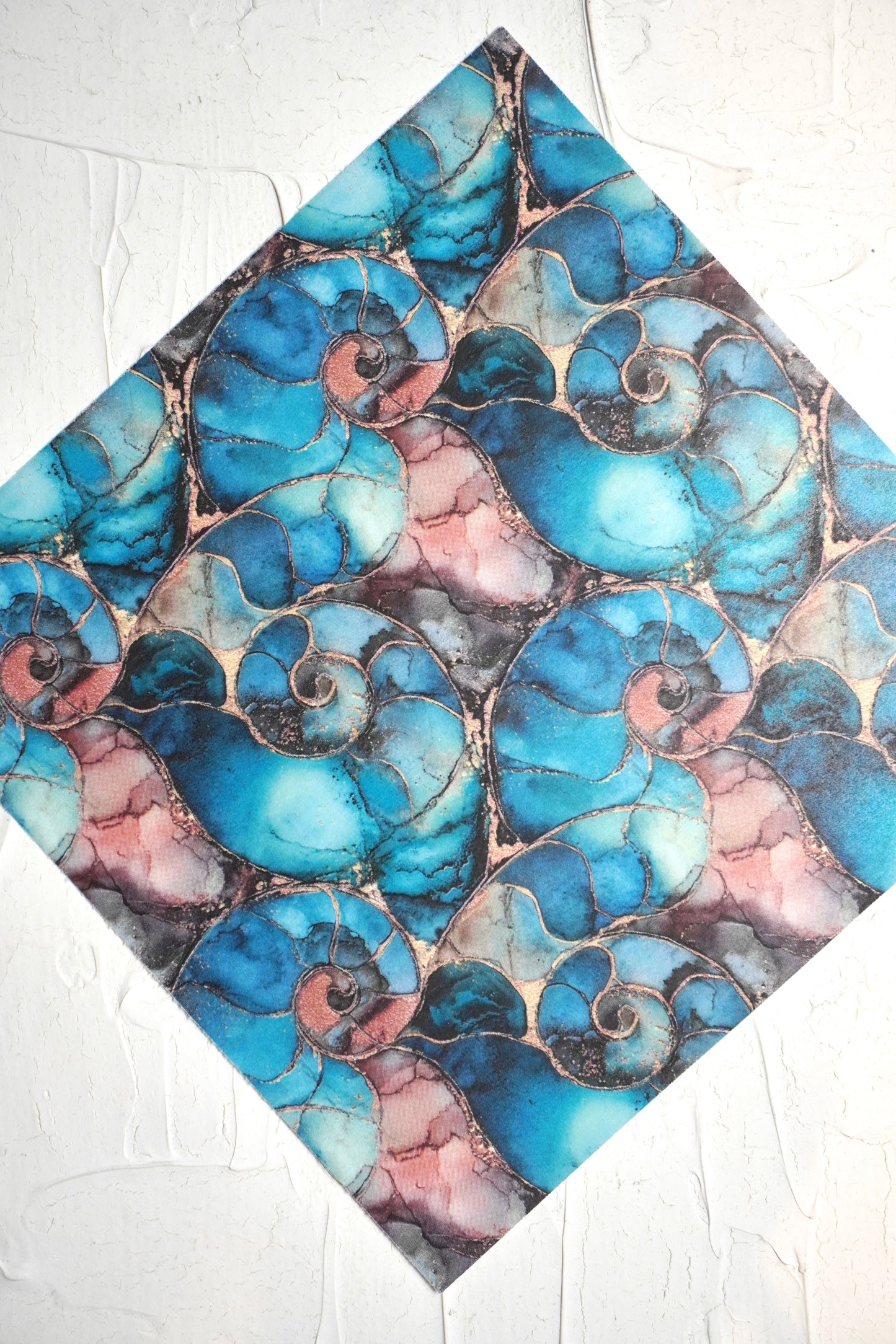 Ammonites 7