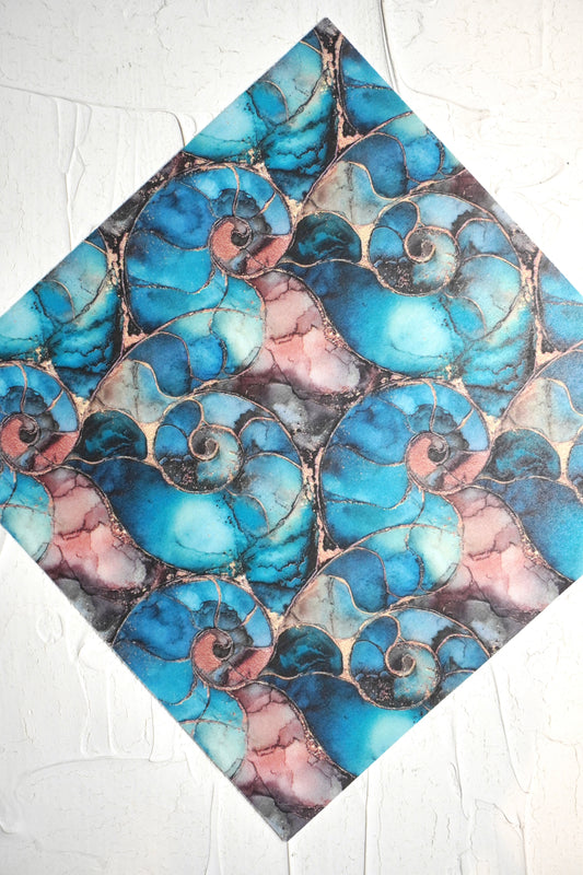 Ammonites 7