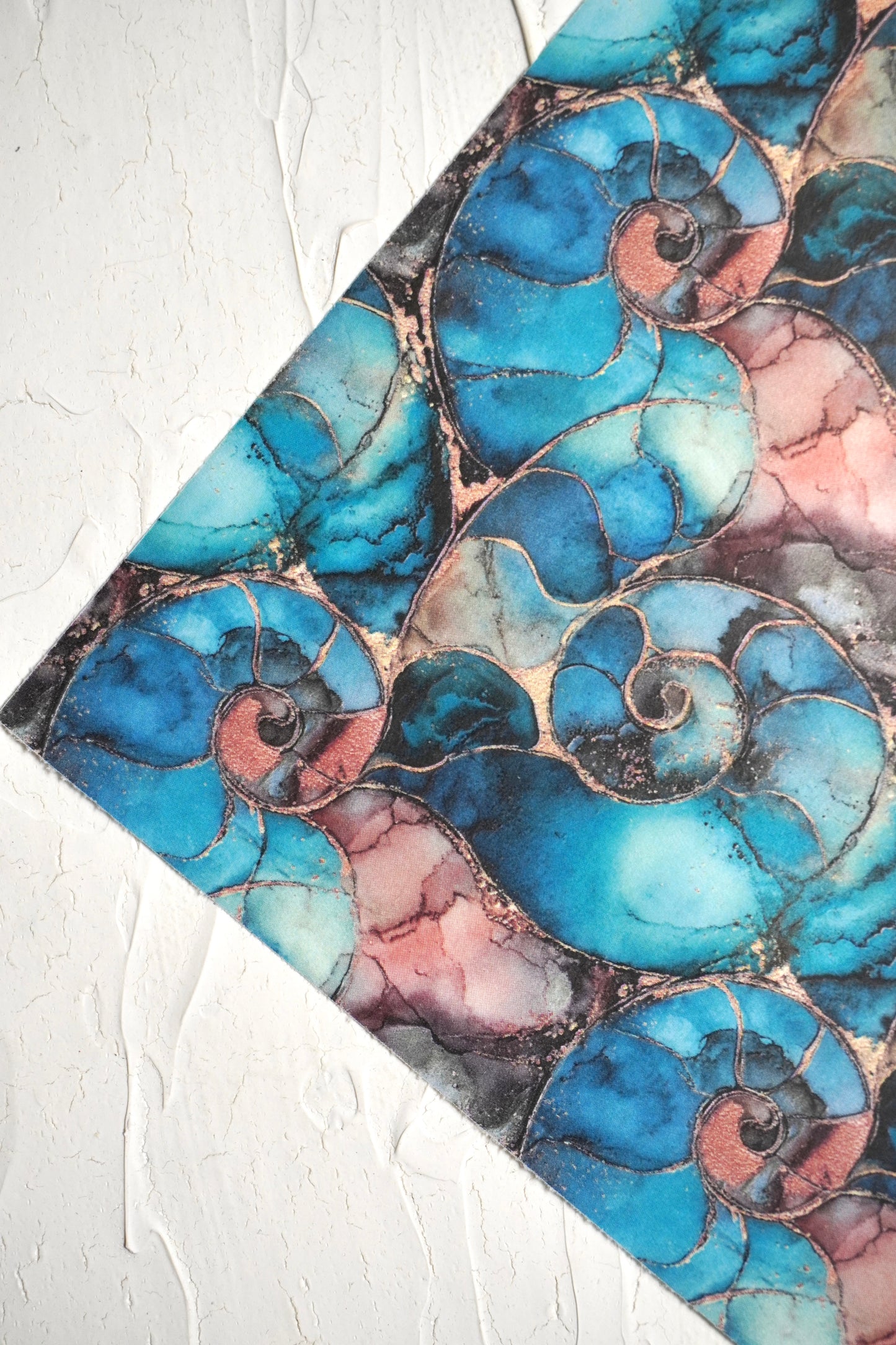 Ammonites 7