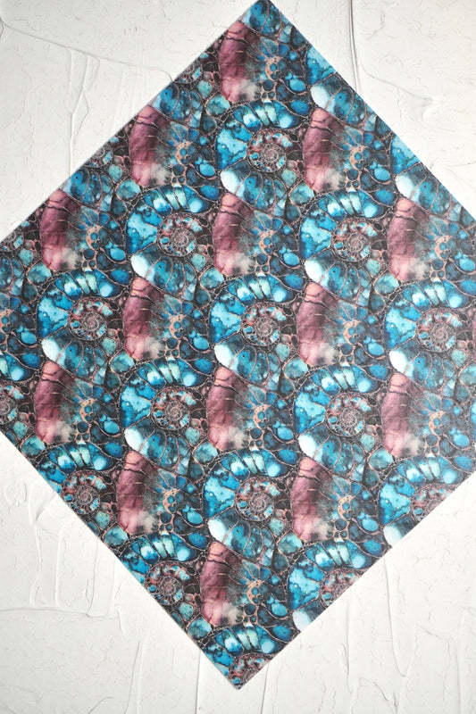 Ammonites 8