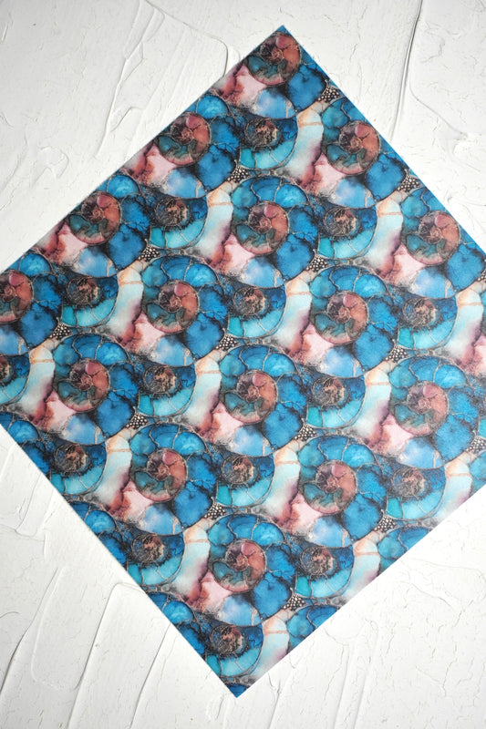Ammonites 9