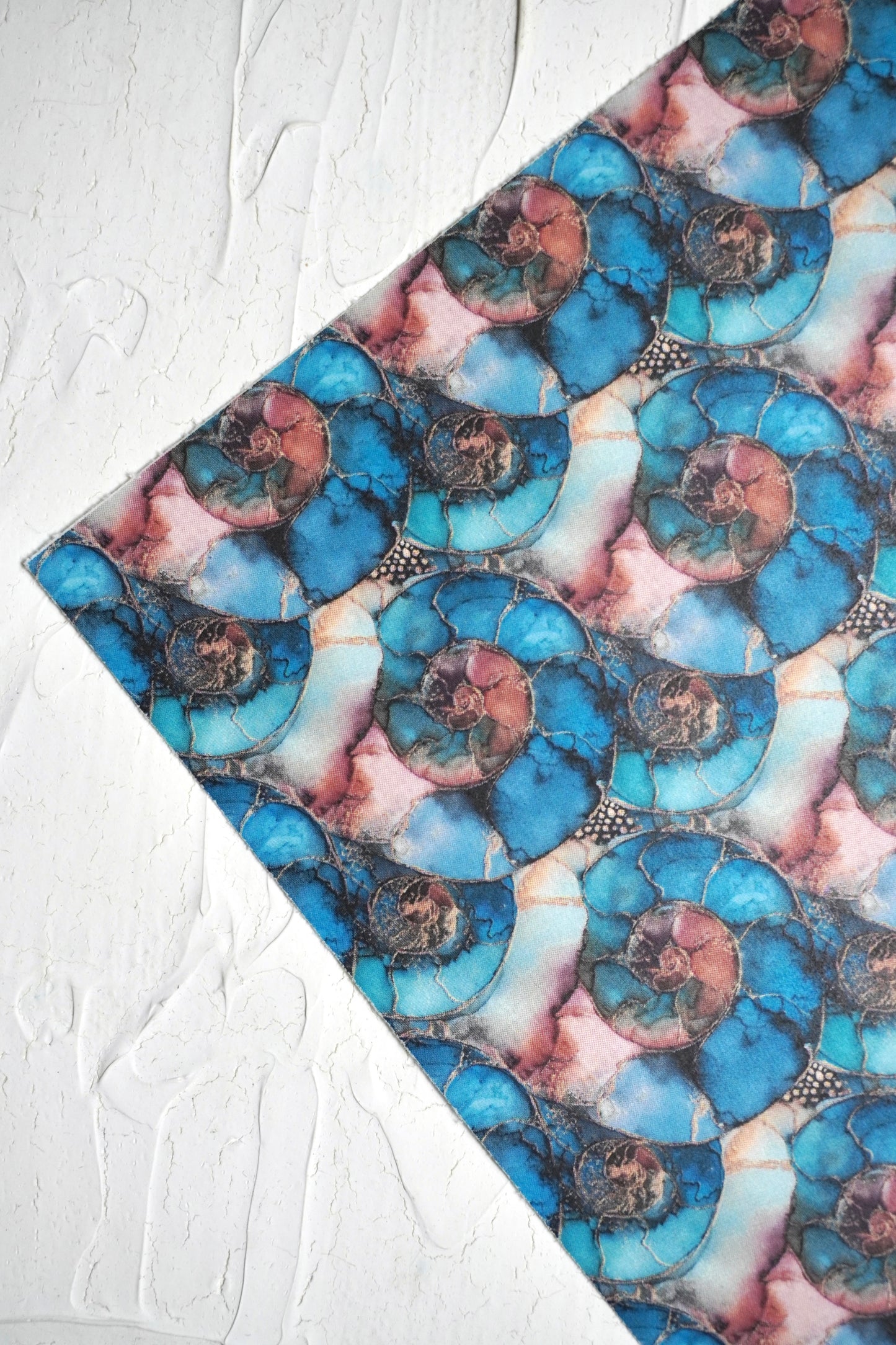 Ammonites 9