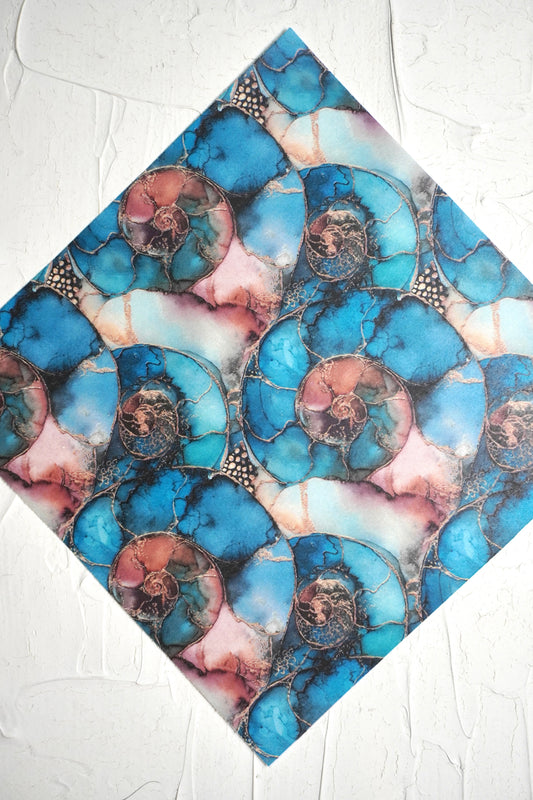 Ammonites 10