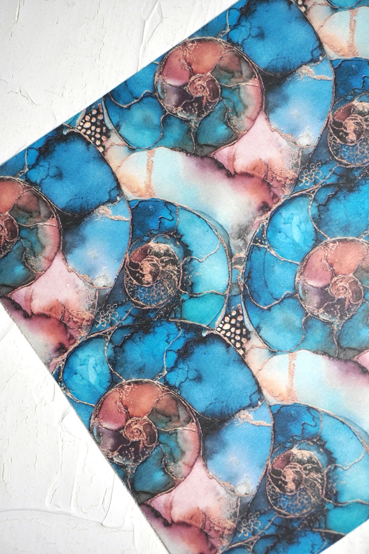 Ammonites 10