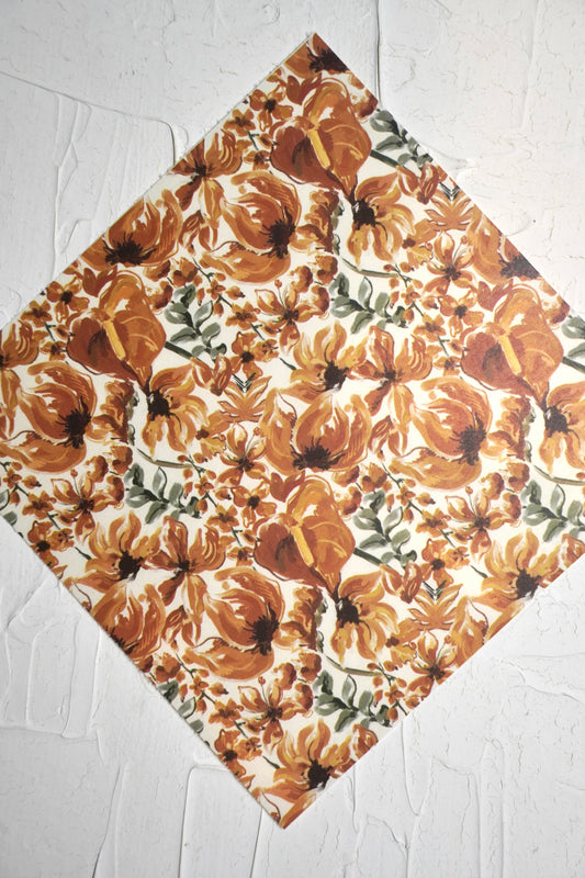 Autumn flowers 5